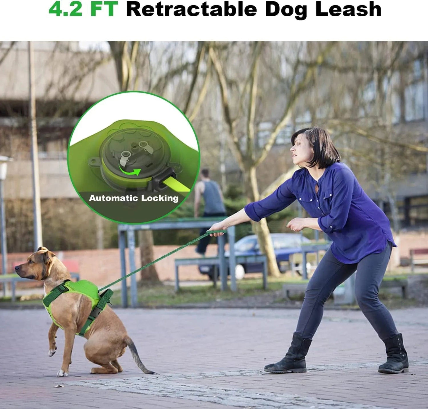 Dog Harness with Retractable Dog Leash 2024