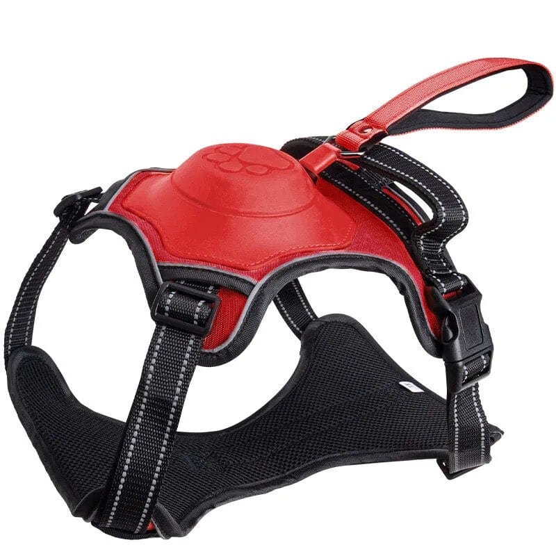 Dog Harness with Retractable Dog Leash 2024