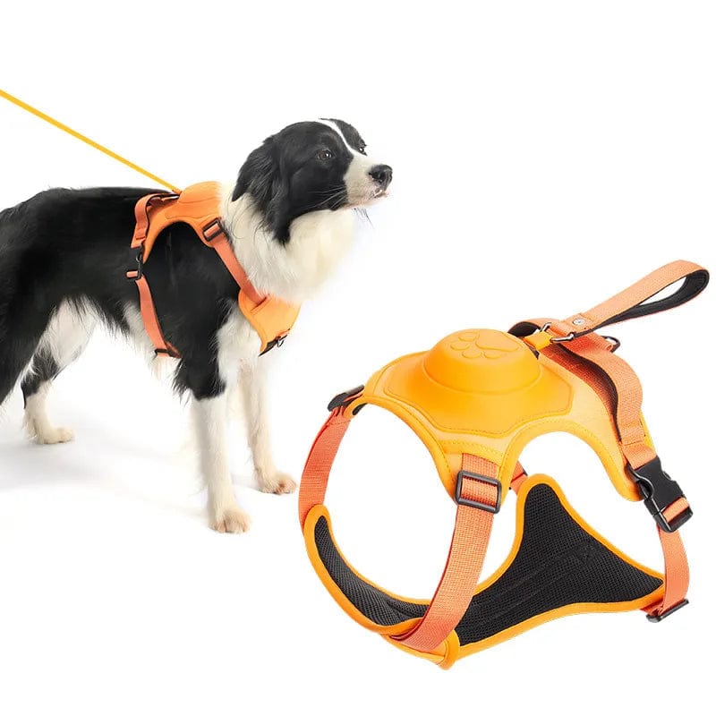 Dog Harness with Retractable Dog Leash 2024