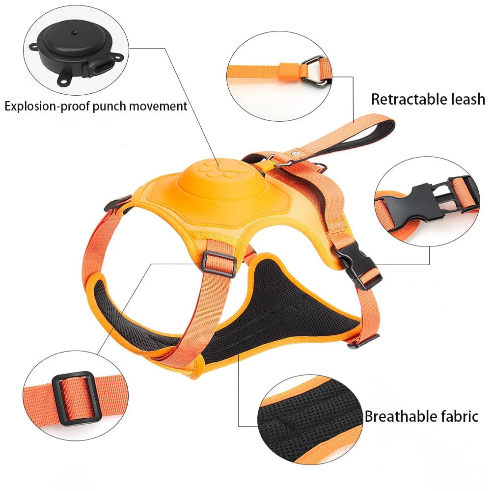 Dog Harness with Retractable Dog Leash 2024